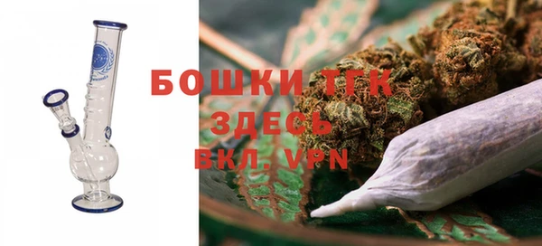 твердый Верхний Тагил
