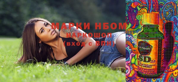 твердый Верхний Тагил