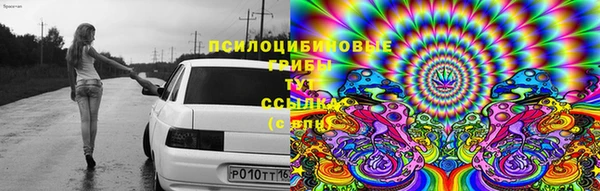бутират Верея