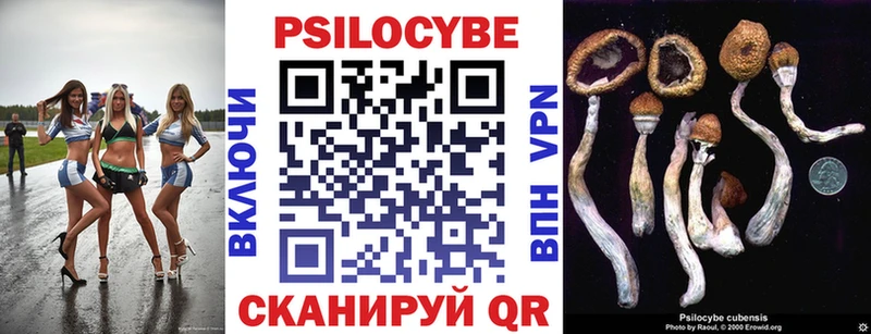 Псилоцибиновые грибы MAGIC MUSHROOMS  Пермь 